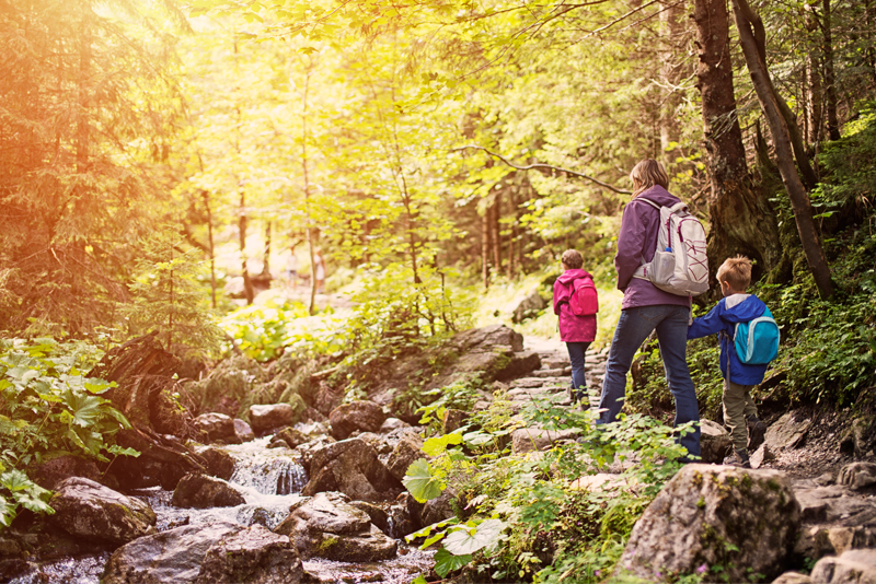 Hill Country Reaction - Family Hiking 